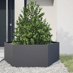 Jardinière anthracite hexagone 138x120x45 cm acier alsavelo