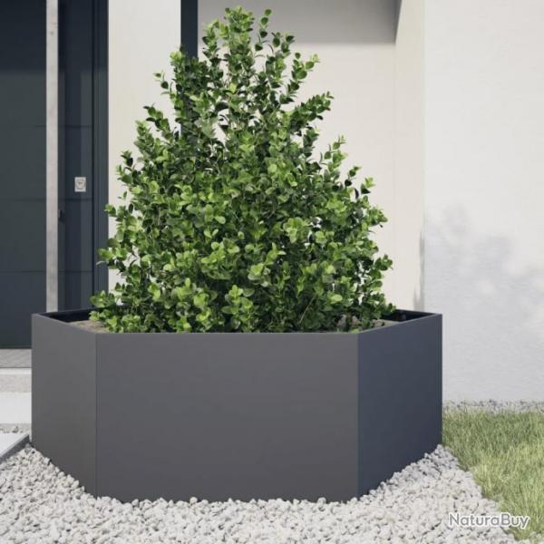 Jardinire anthracite hexagone 138x120x45 cm acier