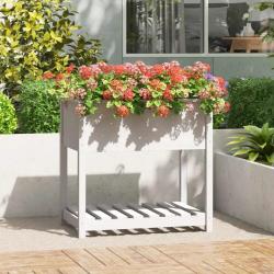 Jardinière avec étagère Blanc 82,5x54x81 cm Bois massif de pin alsavelo