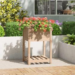 Jardinière avec étagère 54x54x81 cm Bois massif de pin alsavelo