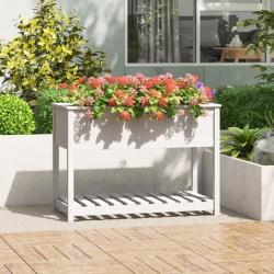 Jardinière avec étagère Blanc 111,5x54x81 cm Bois massif de pin alsavelo