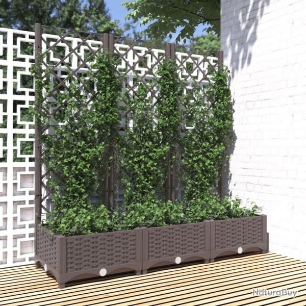 Jardinire avec treillis Marron 120x40x121,5 cm PP alsavelo