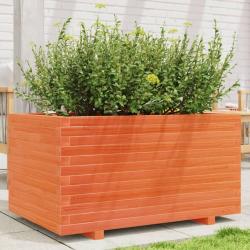 Jardinière cire marron 90x60x49,5 cm bois de pin massif alsavelo