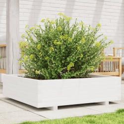 Jardinière blanc 90x90x26,5 cm bois de pin massif alsavelo
