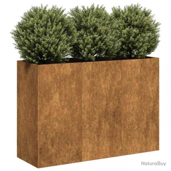 Jardinire rouill 120x40x80 cm acier inoxydable alsavelo