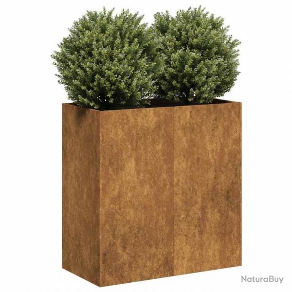 Jardinire rouill 80x40x80 cm acier inoxydable