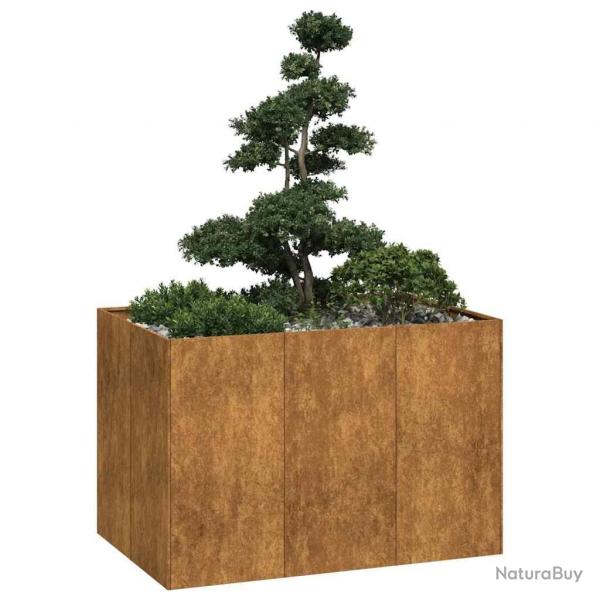 Jardinire rouill 120x80x80 cm acier inoxydable alsavelo