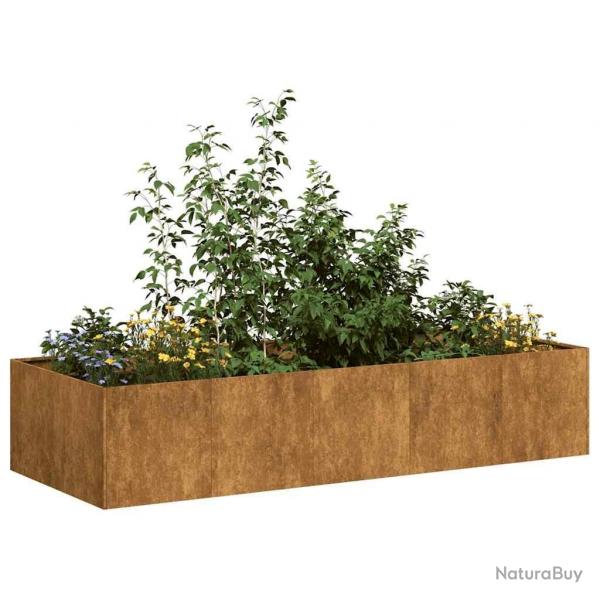 Jardinire rouill 200x80x40 cm acier inoxydable alsavelo