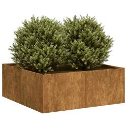 Jardinière rouillé 80x80x30 cm acier inoxydable alsavelo