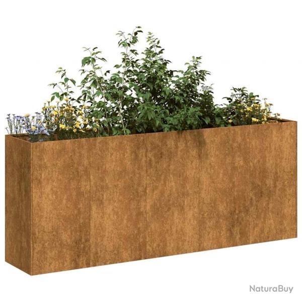 Jardinire rouill 200x40x80 cm acier inoxydable alsavelo