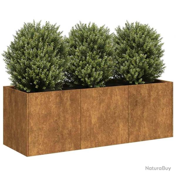 Jardinire rouill 120x40x40 cm acier inoxydable alsavelo