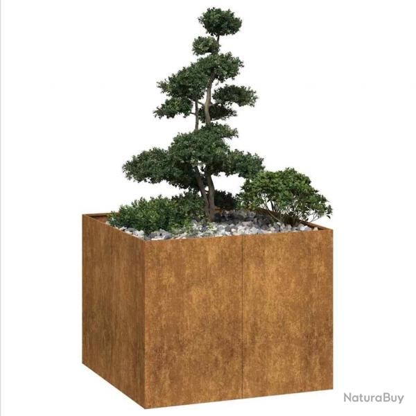 Jardinire rouill 100x100x80 cm acier inoxydable alsavelo