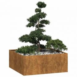 Jardinière rouillé 100x100x40 cm acier inoxydable alsavelo