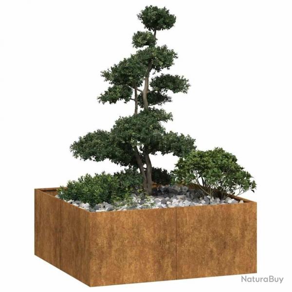 Jardinire rouill 100x100x40 cm acier inoxydable alsavelo