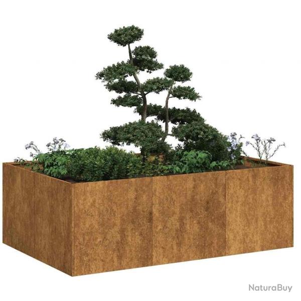 Jardinire rouill 120x80x40 cm acier inoxydable alsavelo