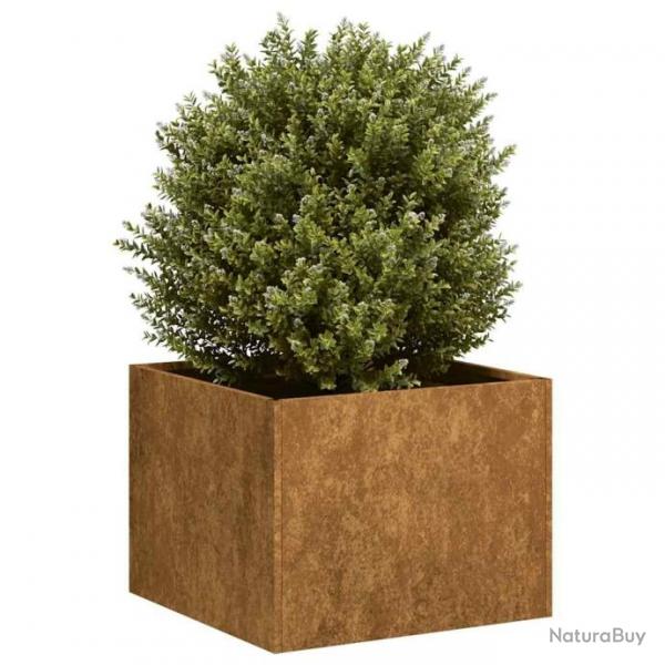 Jardinire rouill 40x40x30 cm acier inoxydable alsavelo