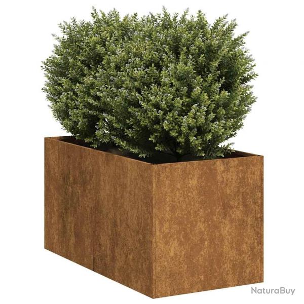 Jardinire rouill 40x80x40 cm acier inoxydable alsavelo