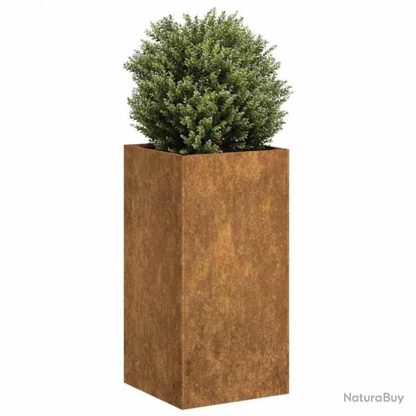 Jardinire rouill 40x40x80 cm acier inoxydable alsavelo