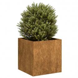 Jardinière rouillé 40x40x40 cm acier inoxydable alsavelo
