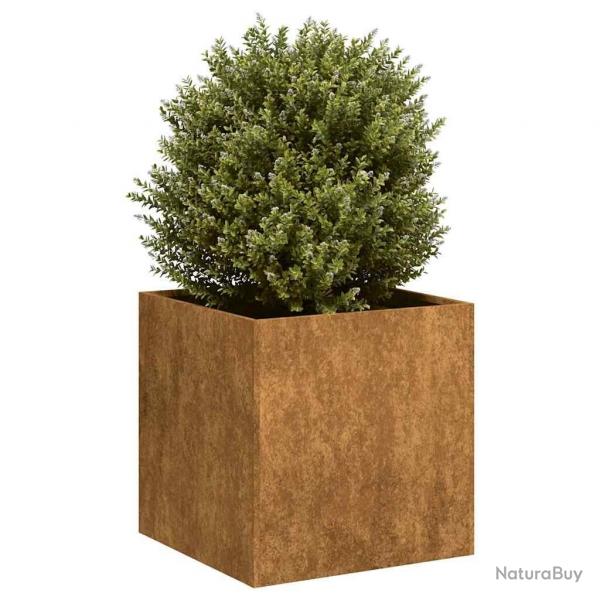Jardinire rouill 40x40x40 cm acier inoxydable alsavelo