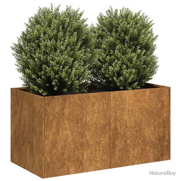 Jardinire rouill 80x40x40 cm acier inoxydable alsavelo