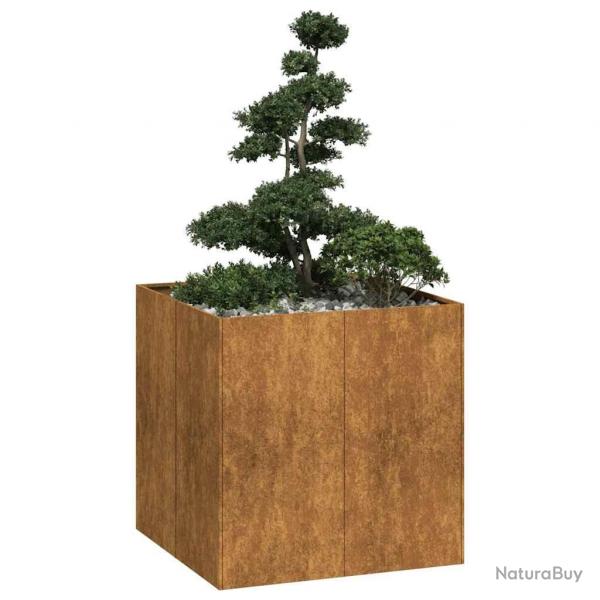Jardinire rouill 80x80x80 cm acier inoxydable alsavelo