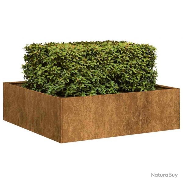 Jardinire rouill 100x100x30 cm acier inoxydable alsavelo