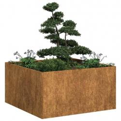 Jardinière rouillé 80x80x40 cm acier inoxydable alsavelo