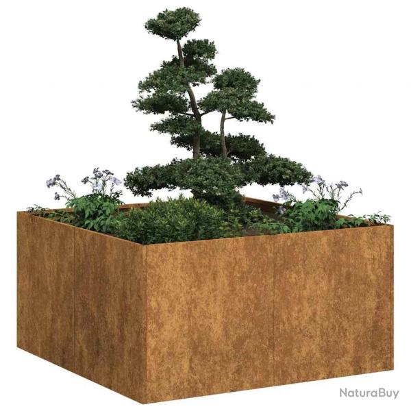 Jardinire rouill 80x80x40 cm acier inoxydable alsavelo