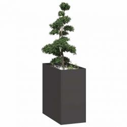 Jardinière noir 40x80x80 cm acier alsavelo