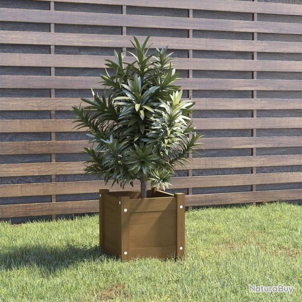 Jardinire extrieur Marron miel 31x31x31 cm Bois de pin massif alsavelo