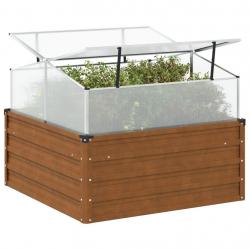 Jardinière de jardin avec serre acier résistant aux intempéries alsavelo