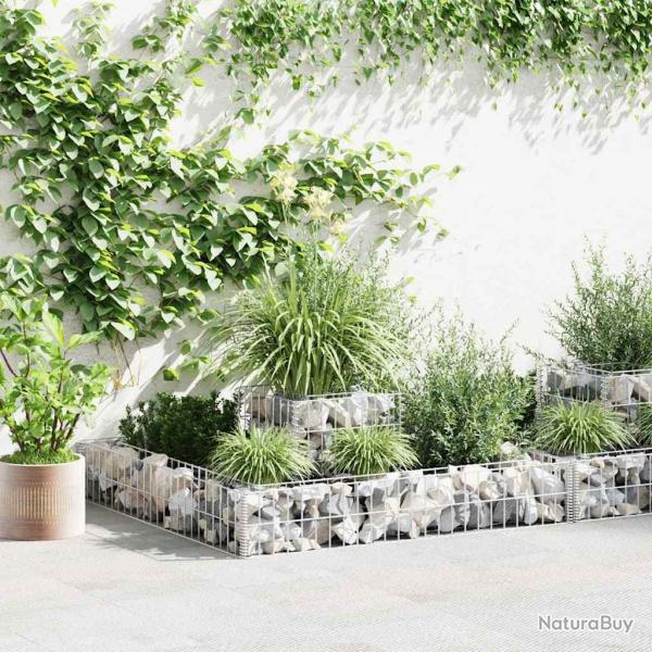 Jardinire en gabion Acier galvanis 120x120x20 cm alsavelo