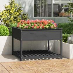Jardinière et étagère Gris 111,5x111,5x81 cm Bois massif de pin alsavelo