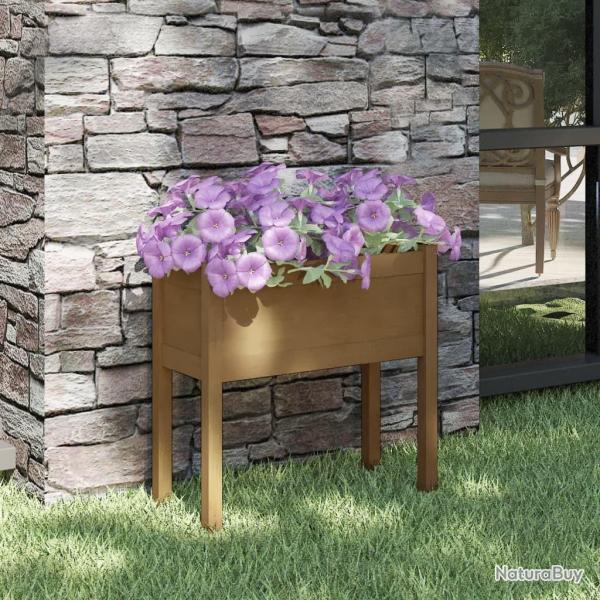 Jardinire Marron miel 70x31x70 cm Bois de pin massif alsavelo