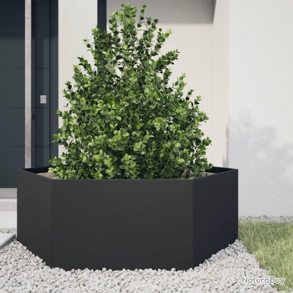 Jardinire noir hexagone 138x120x45 cm acier alsavelo