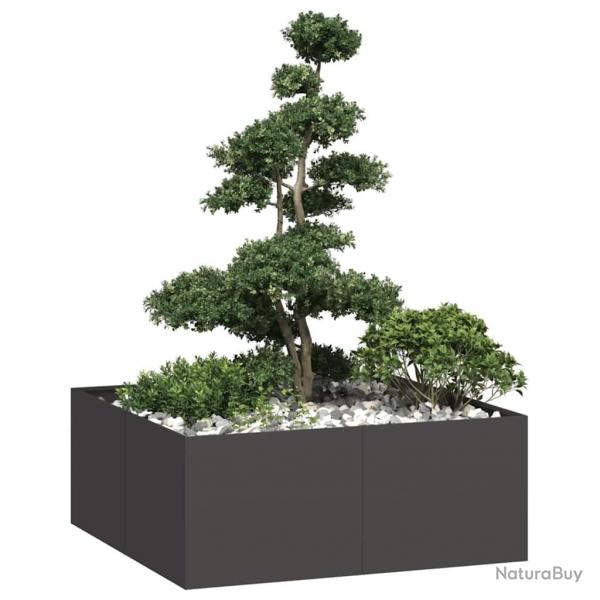 Jardinire noir 100x100x40 cm acier alsavelo