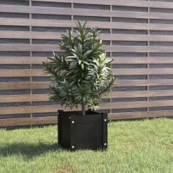 Jardinière d'extérieur Noir 31x31x31 cm Bois de pin massif alsavelo