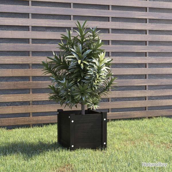 Jardinire d'extrieur Noir 31x31x31 cm Bois de pin massif alsavelo