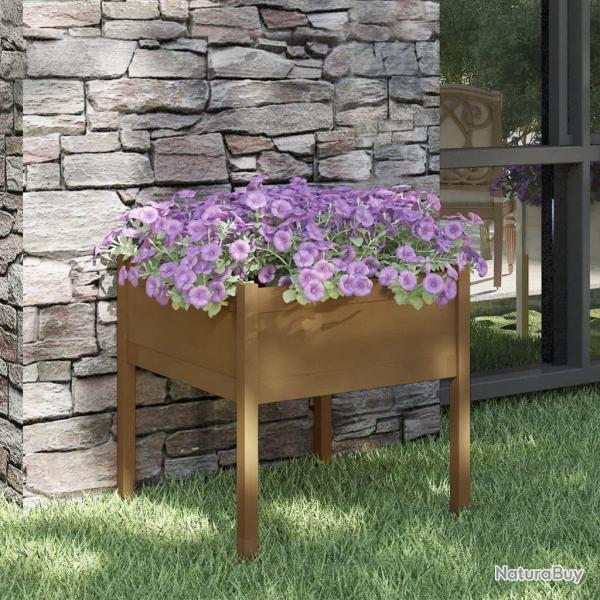 Jardinire d'extrieur Marron miel 70x70x70 cm Pin massif alsavelo