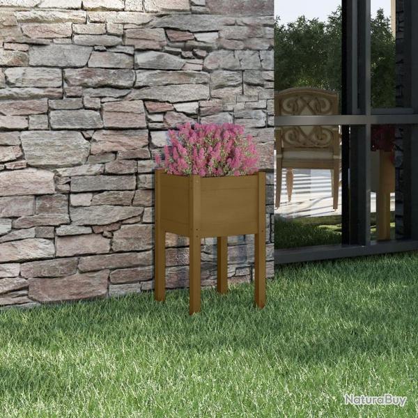 Jardinire d'extrieur Marron miel 40x40x70 cm Pin massif alsavelo