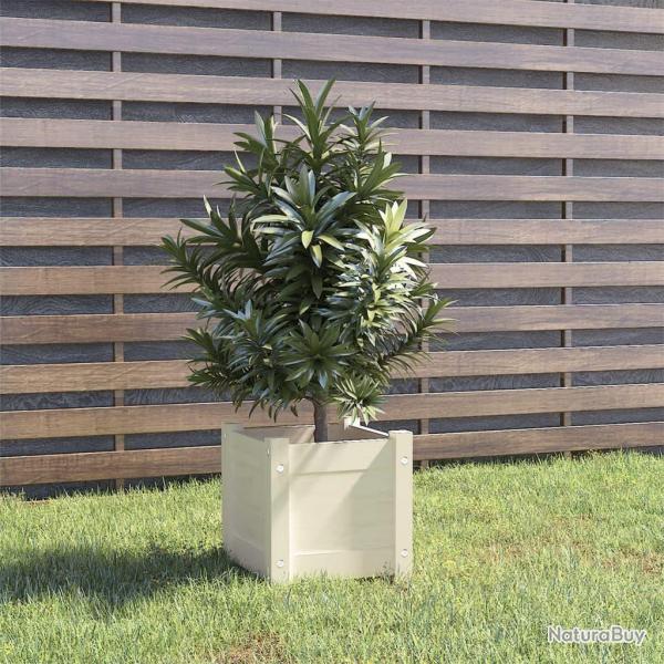 Jardinire d'extrieur Blanc 31x31x31 cm Bois de pin massif alsavelo