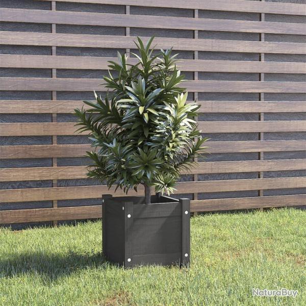 Jardinire d'extrieur Gris 31x31x31 cm Bois de pin massif alsavelo