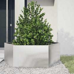 Jardinière hexagone 138x120x45 cm acier inoxydable alsavelo