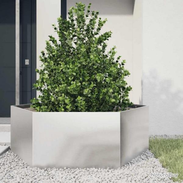 Jardinire hexagone 138x120x45 cm acier inoxydable