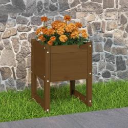Jardinière Marron miel 40x40x52,5 cm Bois massif de pin alsavelo