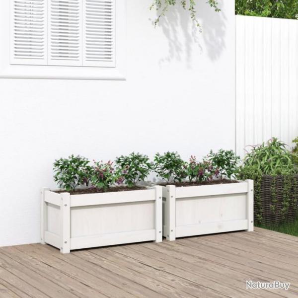 Jardinires 2 pcs blanc bois de pin massif