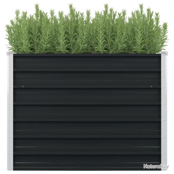 Jardinire surleve Anthracite 100x100x77 cm Acier galvanis