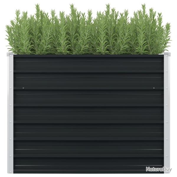 Jardinire surleve Anthracite 100x100x77 cm Acier galvanis alsavelo