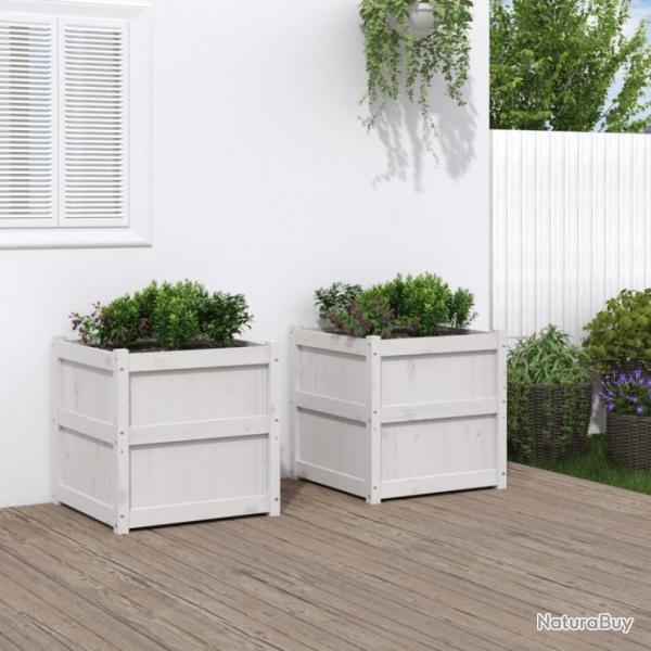 Jardinires 2 pcs blanc bois de pin massif